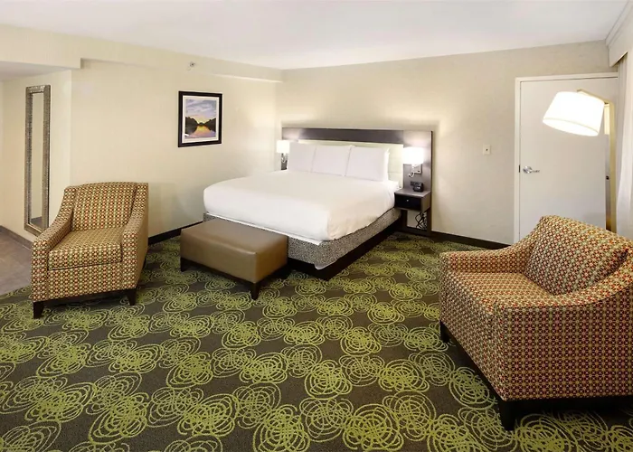 Hilton Garden Inn Reagan National Airport Arlington